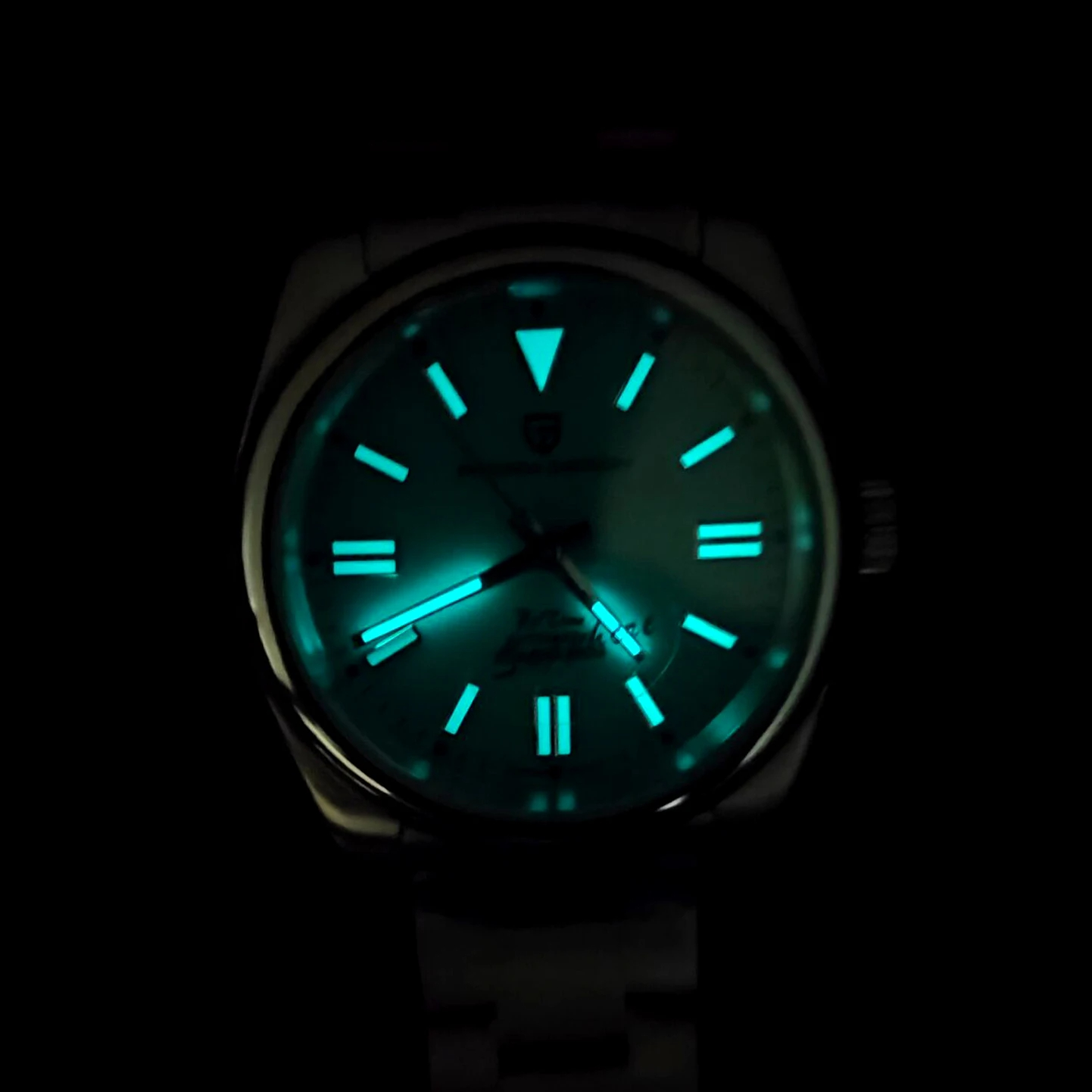 PAGANI DESIGN Luxury Classic M - огляд і ціна Seiko Watch Prospex